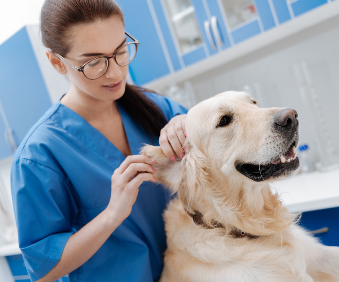 CDI College Interview